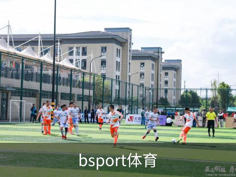 bsport体育品牌故事